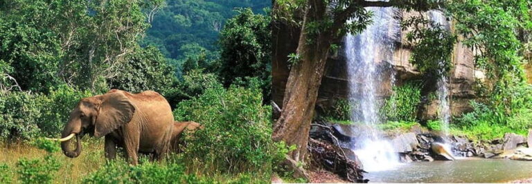 Overnight Safari to Shimba hills from Mombasa - Whats Included and Whats Not