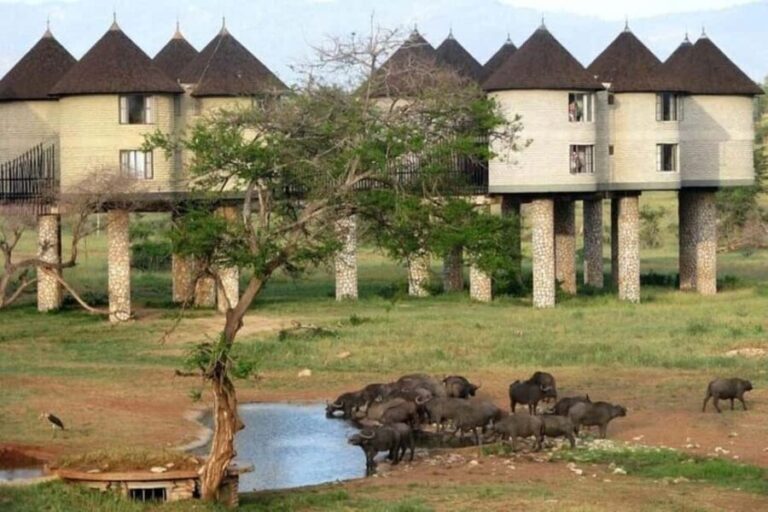 Overnight saltlick Safari from Mombasa - The Sum Up