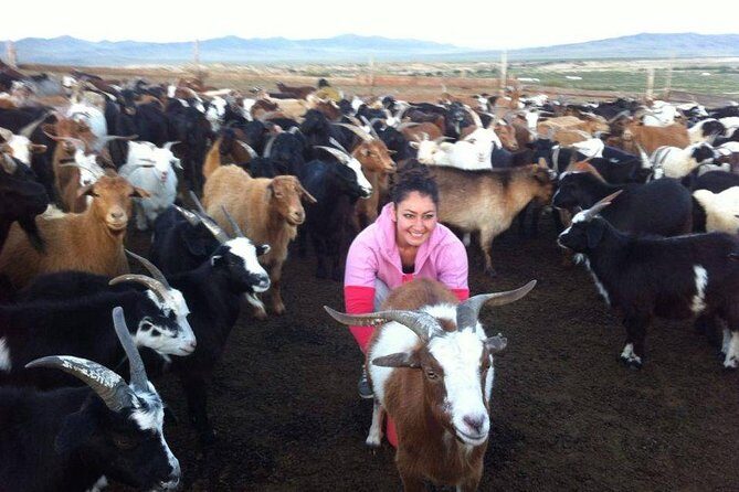 Overnight Semi-Gobi Tour with Nomadic HomeStay - The Sum Up