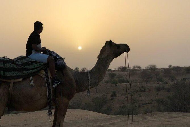 Overnight Stay In Swiss Tent With Camel Safari & Folk Dance - What Makes This Tour Stand Out?