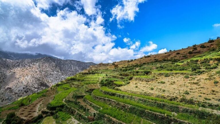 Overnight stay in the High Atlas Mountains Trek - 2 Days - What’s Included and What’s Not