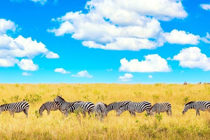 Overnight Tour in Amboseli National Park from Nairobi - Detailed Review of the Amboseli Overnight Tour