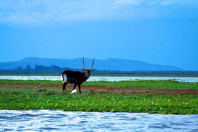 Overnight tour to mount Longonot and Hells Gate Naivasha - Why This Tour Offers Real Value