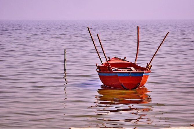 Overnight Trip to Fayyom Oasis, Wadi El-Hitan & Wadi El-Rayyan - The Jewel of the Trip: Wadi El-Hitan