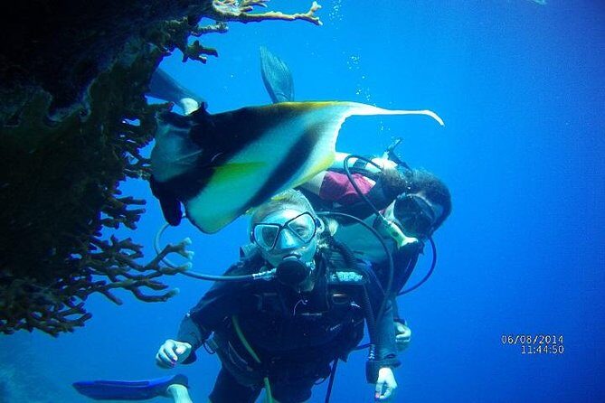 PADI 3 Days Open Water Course - The Value of the Course