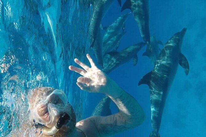 PADI Advanced Diving Course in Hurghada - Learn Scuba Diving - What to Expect During the Course