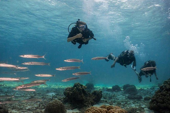 PADI Discover Scuba Diving Experience Full Day Trip - The Itinerary in Detail: What to Expect