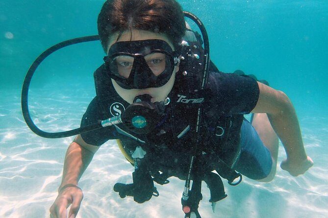 PADI Discover Scuba Diving in Koh Tao - half day and two dives - Why Choose This Tour? Key Highlights