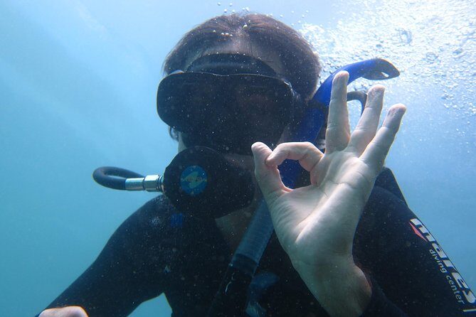 PADI Discover Scuba Diving - introduction program for beginners - What Marine Life Can You Expect?