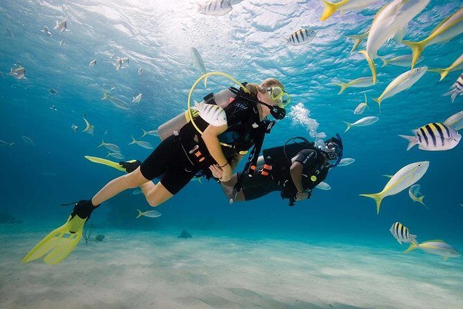 Padi Open Water Diver Course - What Our Reviewers Say