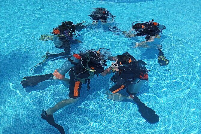 Padi open water diver course (Start at Ko Kut) - Detailed Review of the Course Experience