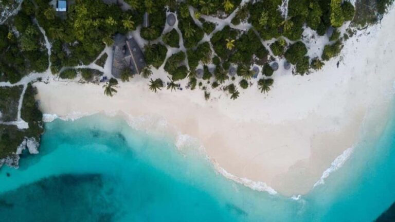 Paje Beach, Lunch at The Rock Restaurant, Mnemba Snorkeling - The Real Value of This Tour