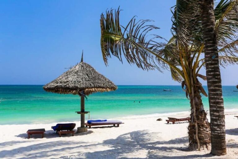 Paje Beach Tour, Lunch at The Rock, Mnemba Dolphin Tour - Practical Details and What to Expect