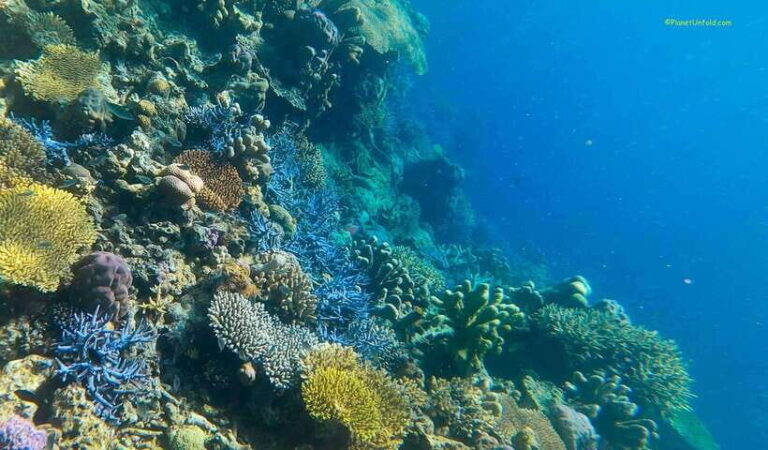 Palawan: Coron Island Super Ultimate Private Tour - Key Points