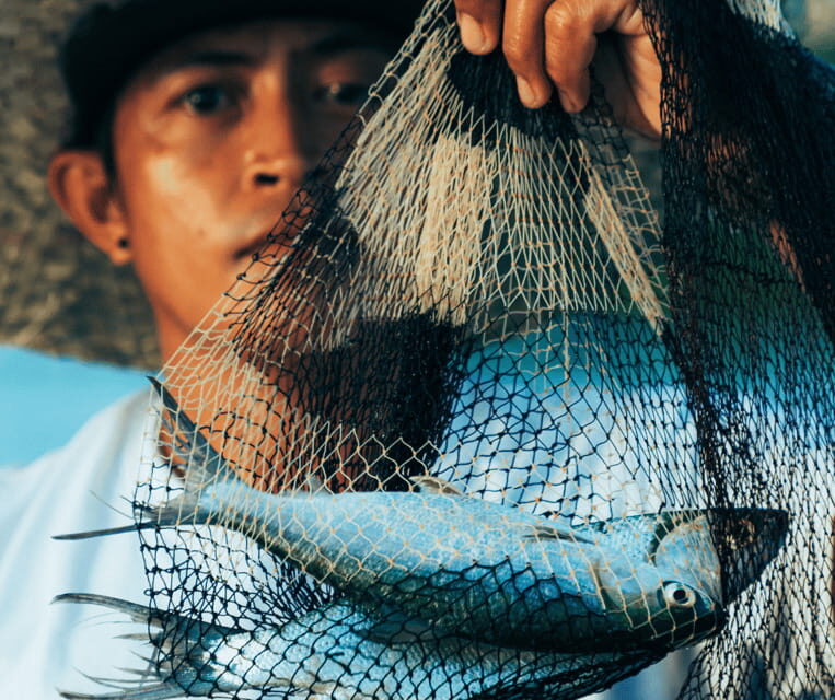 PALAWAN: El Nido Fishing Tour with Local Fishermen PRIVATE - The Authenticity and Value of the Experience