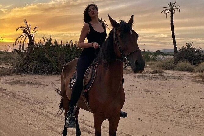 Palmeraie Grove Horse Ride 2 Hour Trip with Transfer - Marrakesh - Detailed Breakdown of the Itinerary