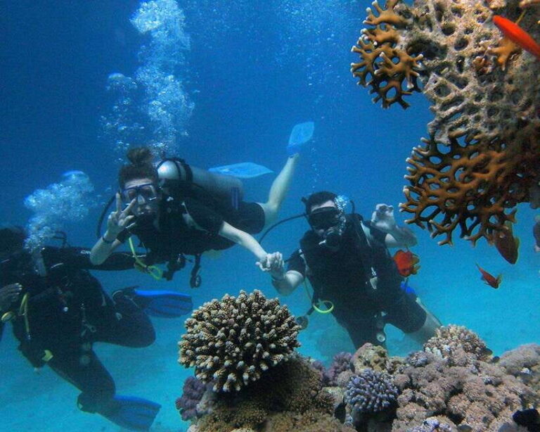 Panglao Bohol: Try Scuba Diving at Napaling and Sardines - Examining the Value