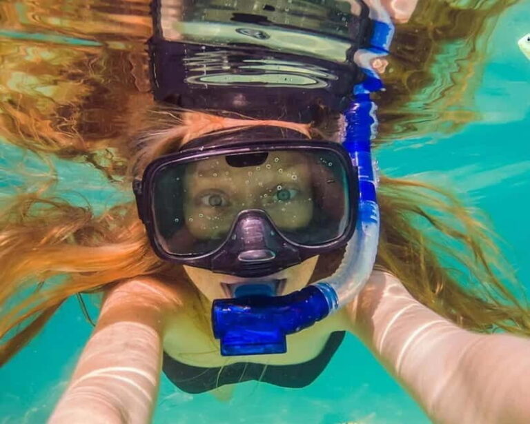 Panglao: Snorkeling at NapalingReef with Sardines Experience - What Travelers Say