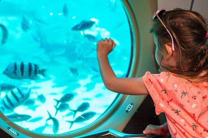 Panorama Semi Submarine Snorkelling Cruise in Makadi Bay - Who This Tour Is Best For