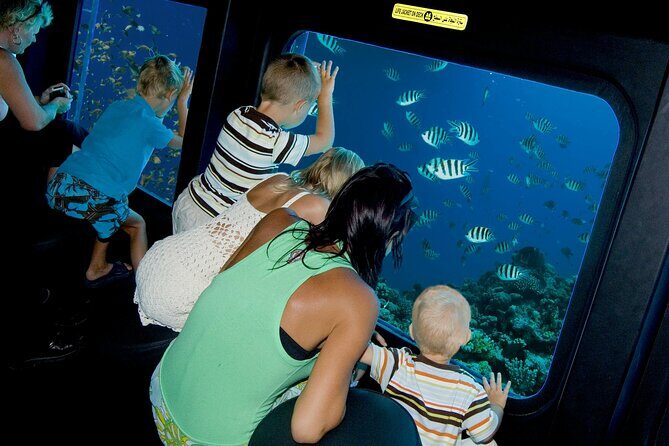 Paradise conquest snorkelling & underwater life adventure - What’s Included and What’s Not
