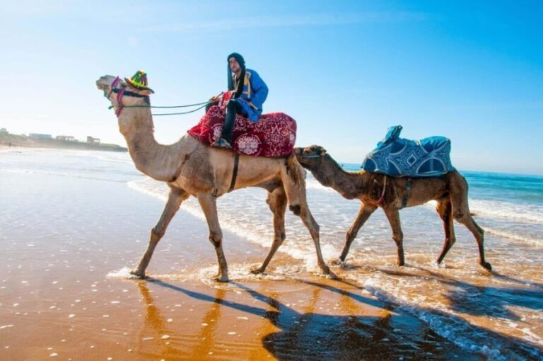 Paradise Valley With Quad Biking and Camel Ride Experience - Whats Included and Practicalities