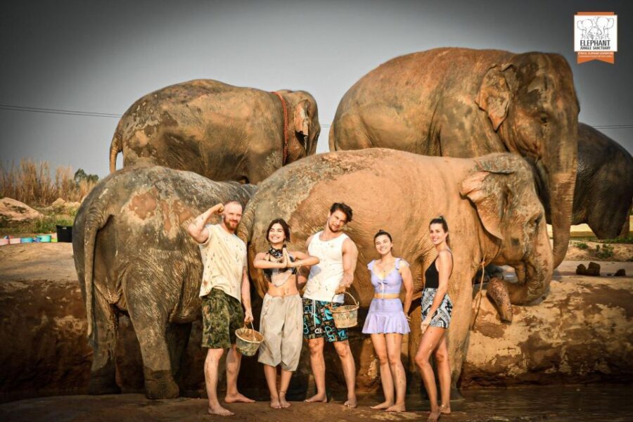 Pattaya: Elephant Jungle Sanctuary Feeding Experience - The Value of the Experience