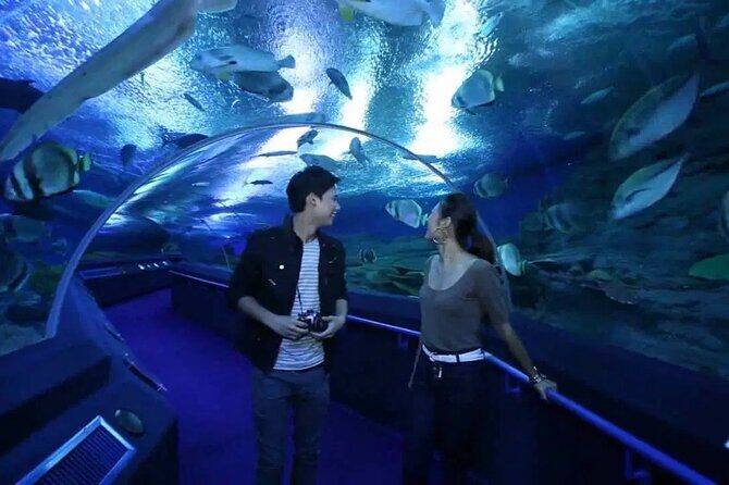 Pattaya Underwater World Admission Ticket - The Practicalities: Visiting Pattaya Underwater World