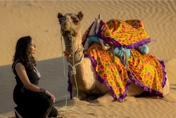 Peep's Billions of Stars Experience with Desert & Camel Safari - What’s Included and What to Consider