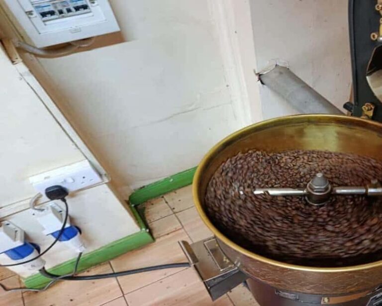 Pemba: Coffee Farm Tour and Maasai Market Visit - Exploring the Maasai Market
