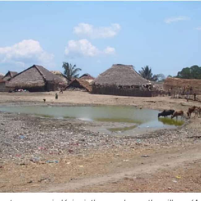 Pemba Island: Kojani Island and Mnarani Ruins Tour - Who Will Truly Appreciate This Tour?