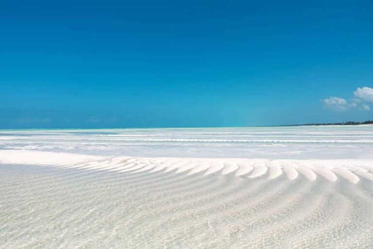 Pemba Island: Ngezi Forest and vumawimbi beach Tour - Who Should Consider This Tour?