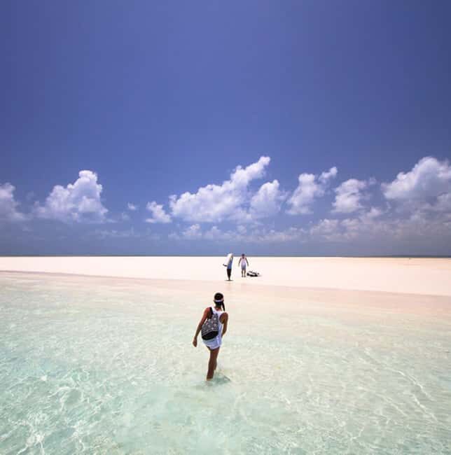 Pemba Island: Spice Farm, Vumawimbi Beach, & Mnarani Tour - Is This Tour Worth It?