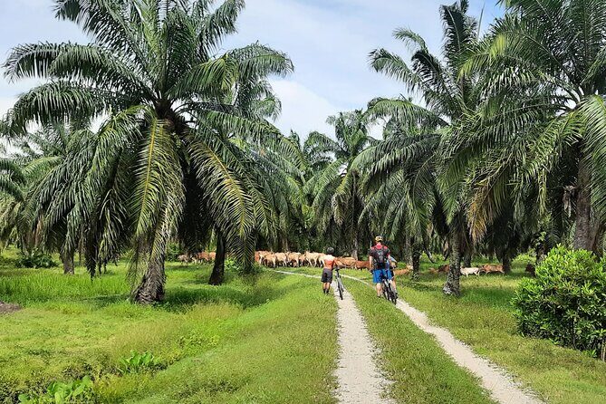 Penang Countryside Cycling Tour. PPA2 by Matahari - FAQ