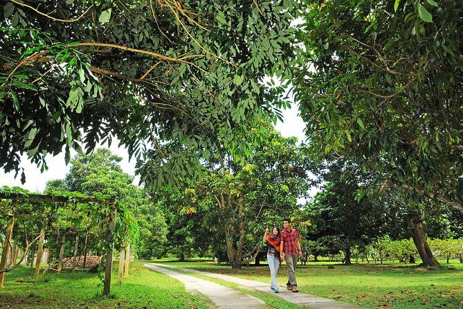 Penang Tropical Fruit Farm with Fruit Tasting - Authentic Experiences and Authenticity
