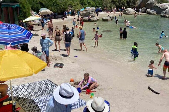 Penguin Watching & Beach Day at Boulder's Beach, Cape Town - Practical Details and Considerations