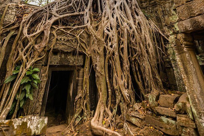 Personalised Angkor Wat Day Tour by an Air-conditioned Car - Who Will Appreciate This Tour?