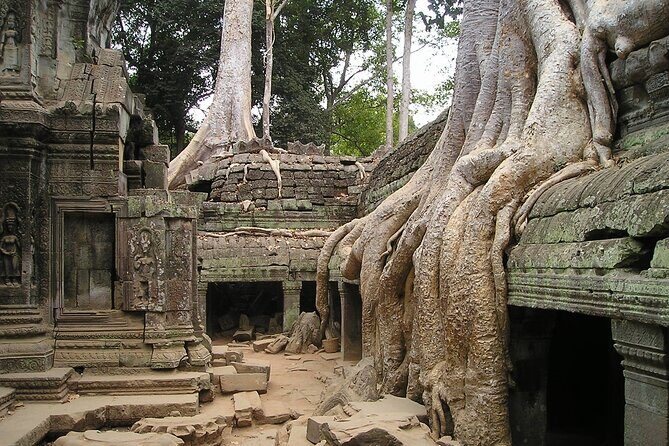 Personalised Angkor Wat Sunrise Tour by an air-conditioned car - Who Will Love This Tour?