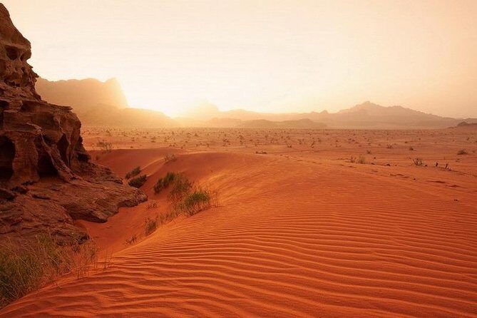 Petra and Wadi Rum Day Trip from Amman - The Practical Side: What This Tour Means for You