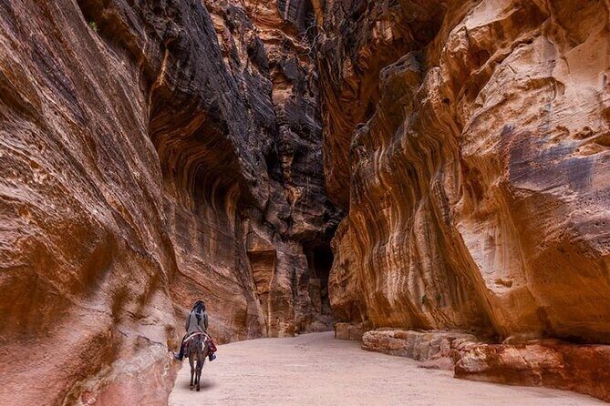 Petra & Wadi Rum 2-Day Journey of Round-Trip Transport from Amman - Real Travelers’ Experiences