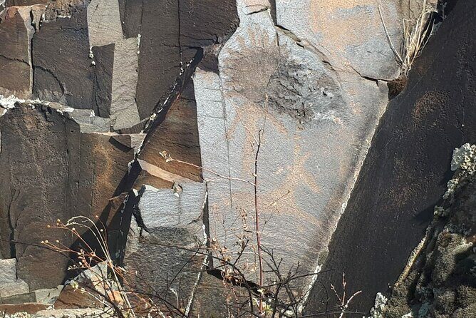 Petroglyphs of Tanbaly UNESCO World Heritage Site - Introduction to the Tanbaly Petroglyphs Tour