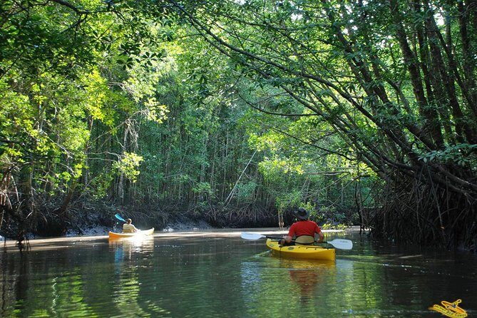 Phang Nga Bay Starlight by John Gray Sea Canoe - Why This Tour Might Be Perfect for You