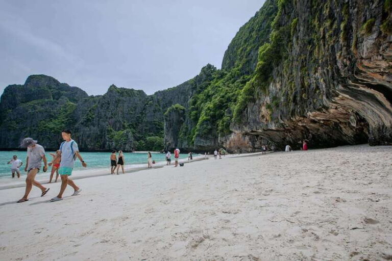 Phi Phi Half Day or Full Day by Longtail to Maya and Bamboo - Who Should Consider This Tour?