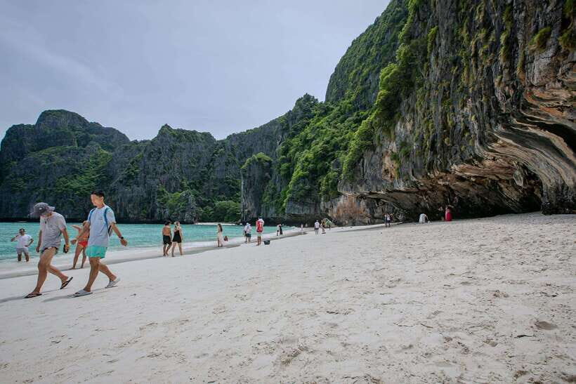 Phi Phi Half Day or Full Day by Longtail to Maya and Bamboo - Who Should Consider This Tour?