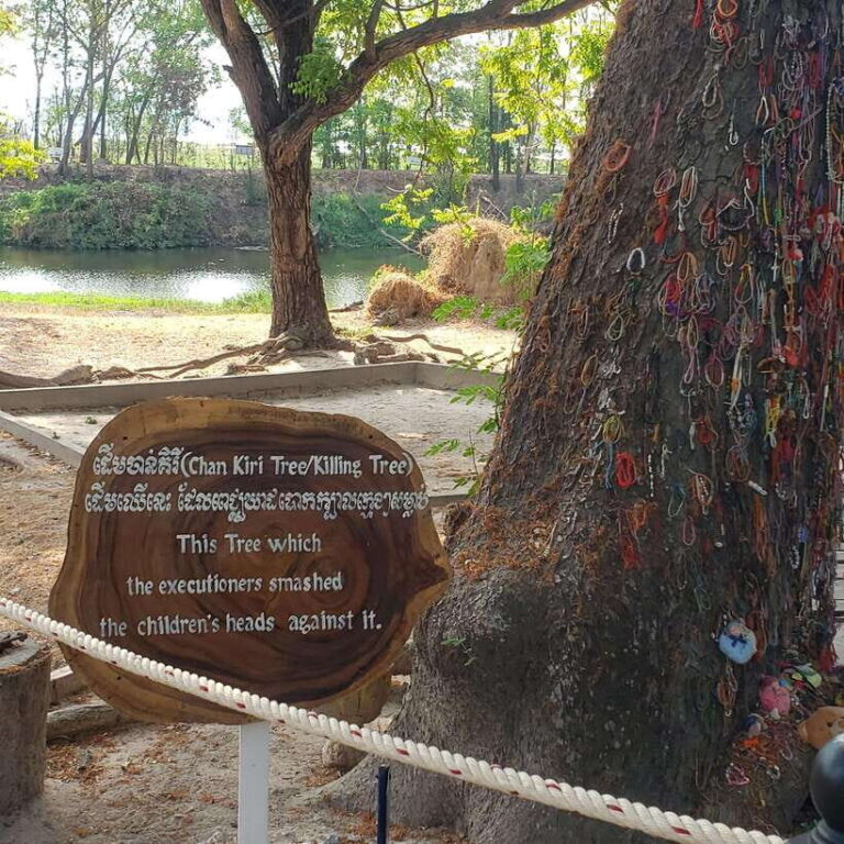 Phnom penh full day Tour - A Deep Dive Into the Itinerary