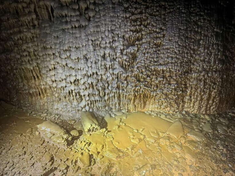 Phong Nha: Paradise Cave 4km Adventure - An In-Depth Look at the Paradise Cave 4km Adventure