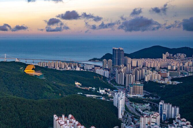 [Photography Tour] Busan Night Tour (Max. 7 Pax) - Authentic Feedback from Participants