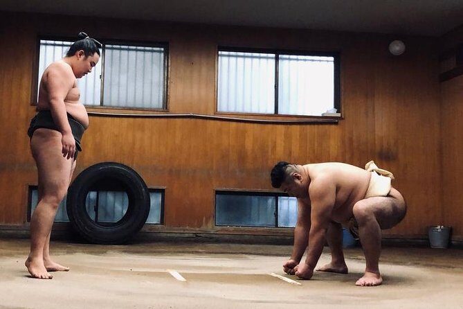 [Photos with Wrestlers] Exclusive Access to Sumo Morning Practice - What the Reviews Reveal