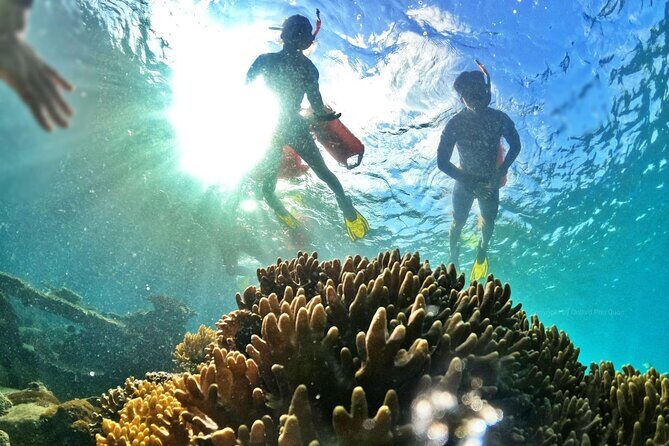 [Phu Quoc] Private Speedboat & Short-Snorkel: South Hidden Reefs - Final Thoughts