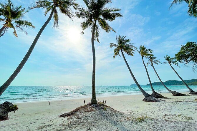 Phu Quoc Sightseeing Day Tour - Transportation and Group Size