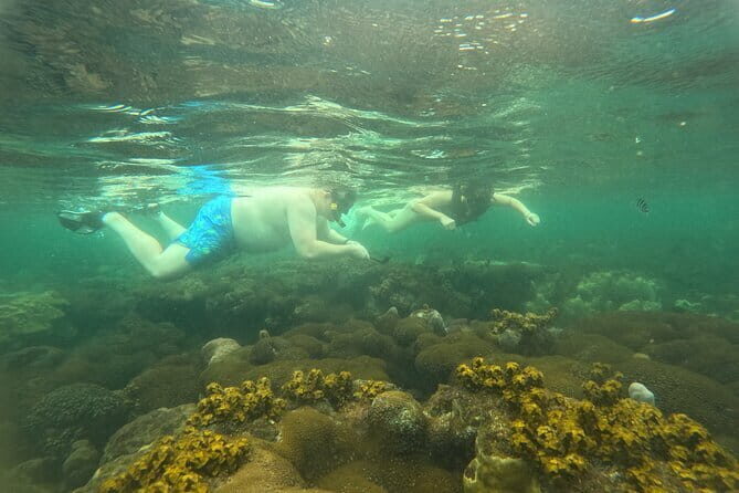 Phu Quoc: Snorkeling and Island Hopping By Speedboat with Lunch - What’s Included: Making It Worth the Price